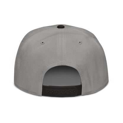 MYTEMPORE GRAY TOP + BLACK BRIM Snapback Hat