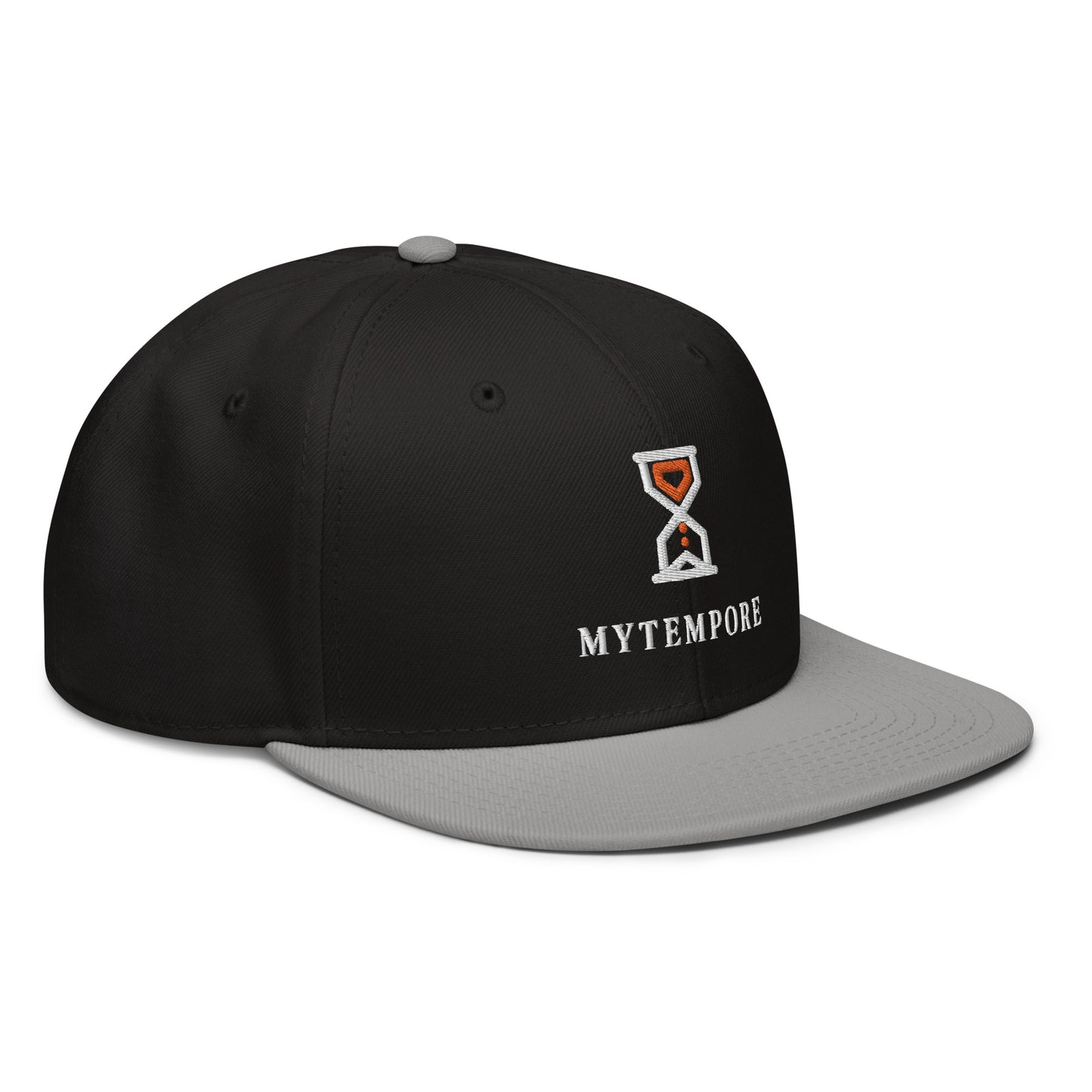 MYTEMPORE GRAY + BLACK Snapback Hat